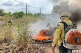 EXCLUSIVO | VEJA VÍDEO:  Incêndios de grande proporção atinge terreno