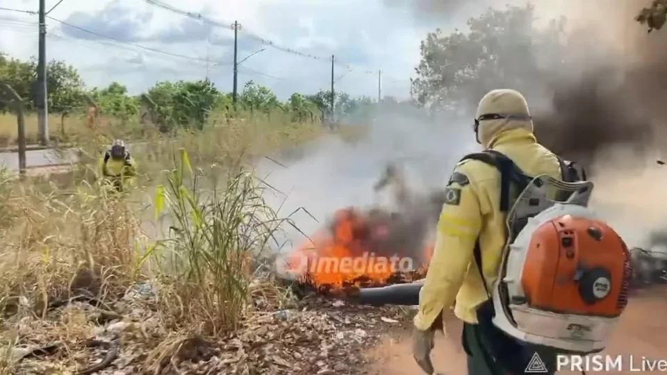 EXCLUSIVO | VEJA VÍDEO:  Incêndios de grande proporção atinge terreno