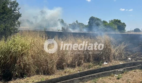 Incêndio atinge área de mata próximo à avenida Mário Homem de Melo, em Boa Vista