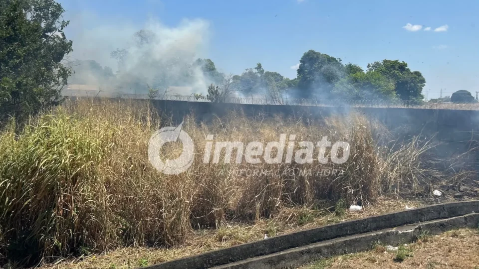 Incêndio atinge área de mata próximo à avenida Mário Homem de Melo, em Boa Vista