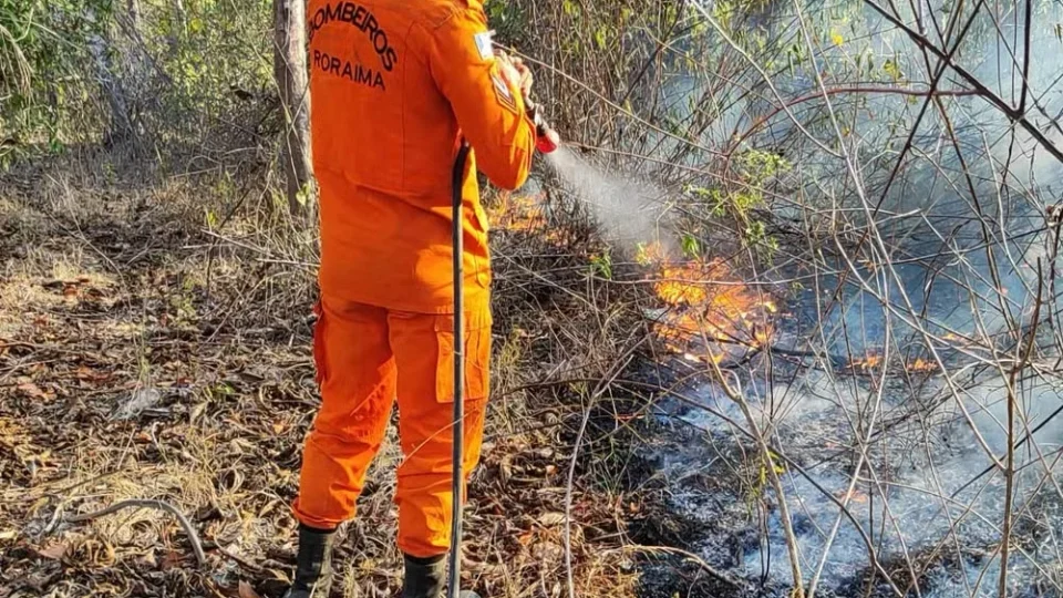 Reforço: Roraima envia bombeiros e viaturas para combater incêndios florestais no Amazonas