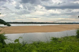 Plano climático prevê novas medidas para enfrentar mudanças no meio ambiente