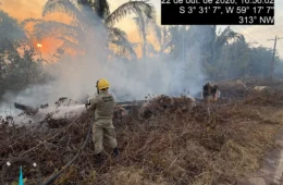 FOGO AVANÇA NO AMAZONAS: incêndio toma área de vegetação e mobiliza operação para conter as chamas