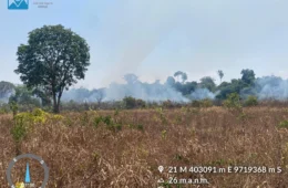 Homem é preso por provocar incêndio florestal no interior do Amazonas