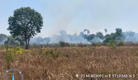 Homem é preso por provocar incêndio florestal no interior do Amazonas