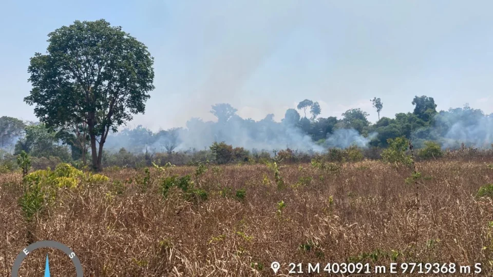 Homem é preso por provocar incêndio florestal no interior do Amazonas
