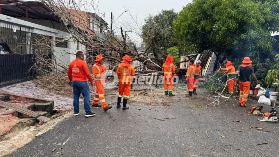 Forte chuva provoca queda de árvore e deixa moradores sem energia na Compensa