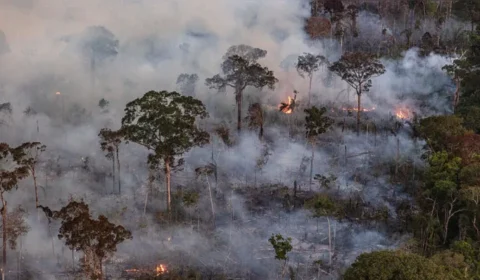 CALOR E FUMAÇA | Belém vai receber Força Nacional para combater o El Niño