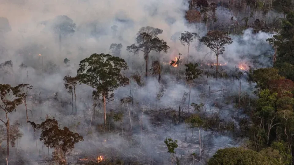 CALOR E FUMAÇA | Belém vai receber Força Nacional para combater o El Niño