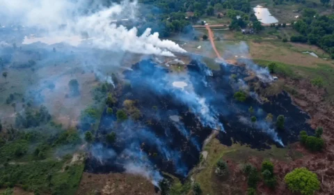 Homem é preso após ser flagrado queimando pneus em área de mata no interior do Amazonas