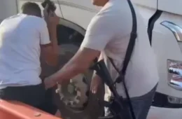 VEJA O VÍDEO | Motorista de caminhão é ameaçado por homem com fuzil