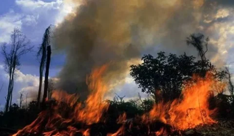 Homem morre ao tentar apagar incêndio em pastagem na zona rural de Nova União