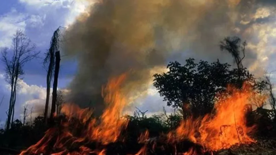 Homem morre ao tentar apagar incêndio em pastagem na zona rural de Nova União