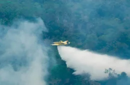 VEJA O VÍDEO | Ministro do Meio Ambiente aponta flagrante de incêndios propositais no Amazonas.
