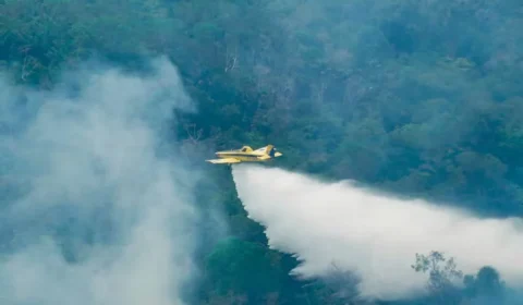 VEJA O VÍDEO | Ministro do Meio Ambiente aponta flagrante de incêndios propositais no Amazonas.