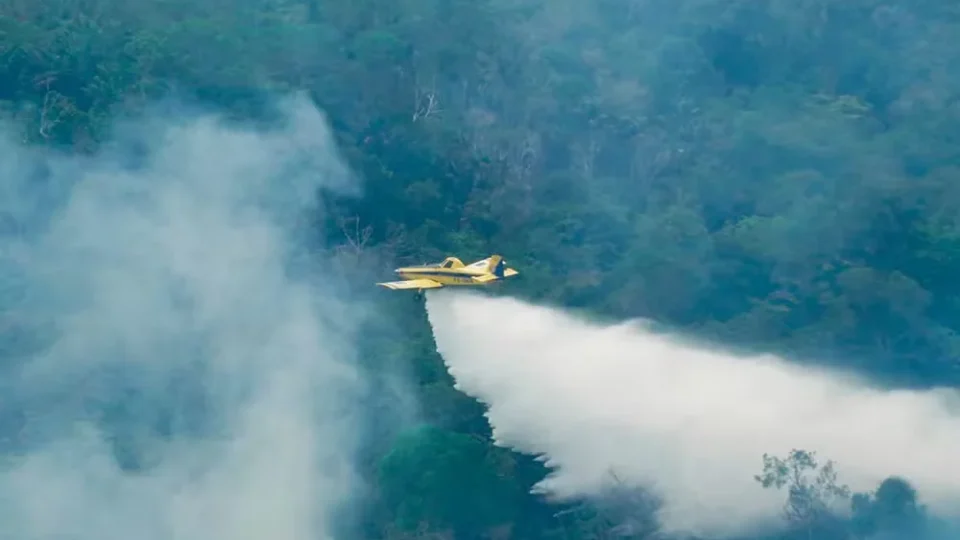 VEJA O VÍDEO | Ministro do Meio Ambiente aponta flagrante de incêndios propositais no Amazonas.