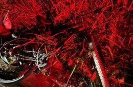 VÍDEO | Homem é preso após atropelar e matar uma ciclista sem prestar socorro