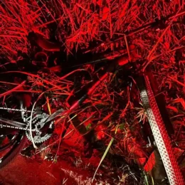 VÍDEO | Homem é preso após atropelar e matar uma ciclista sem prestar socorro